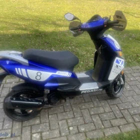 Skuter Pegasus 50 cm z niemiec