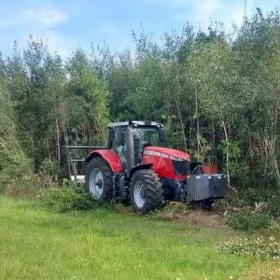 Karczowanie, rekultywacja, wycinka drzew, mulczowanie