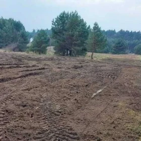 Karczowanie, rekultywacja, wycinka drzew, mulczowanie