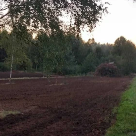 Karczowanie, rekultywacja, wycinka drzew, mulczowanie