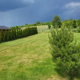 Koszenie trawy traktorkiem. Koszenie trawników, działek. Częstochowa i okolice.