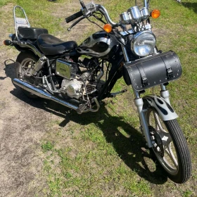 Kingway motorower łoś