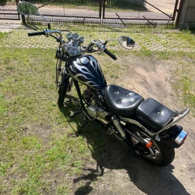 Kingway motorower łoś