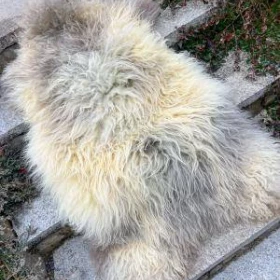 Naturalna skóra owcza Melerade