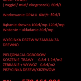 Wnoszenie/ Wrzucanie / Workowanie Opału węgiel, miał, ekogroszek/ cięcie i rąbanie drewna/ koszenie trawy/ wycinka drzew/ usługi rębakiem