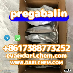 prega--balin