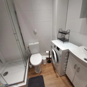 Wynajmę Wyremontowane mieszkanie M3, Tysiąclecie ul. Nałkowskiej