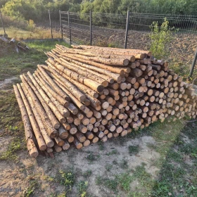 stemple, belki - 240 szt. długość 290-300 cm, 40 szt. długość ok 320cm